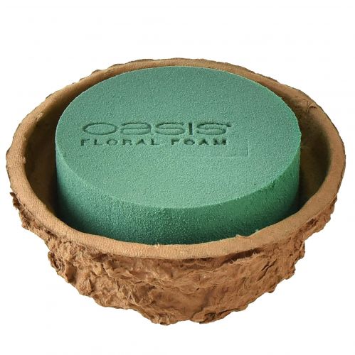 Article Bol composition florale mousse florale humide H6cm Ø14cm 4 pcs
