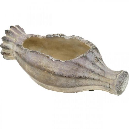 Floristik24 Capsule coquelicot à planter, décoration béton, cache-pot, décoration jardin L29.5cm