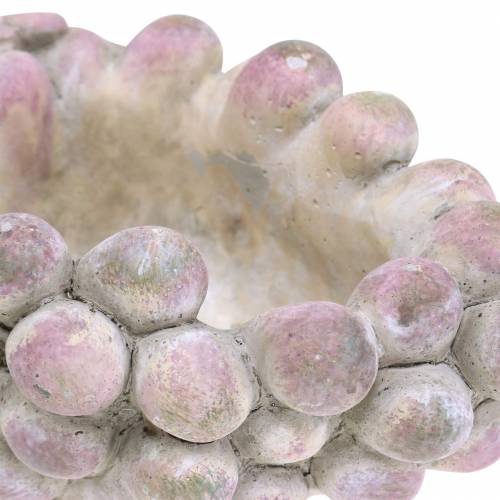 Floristik24 Bol déco raisins gris violet crème 19×14cm H9.5cm