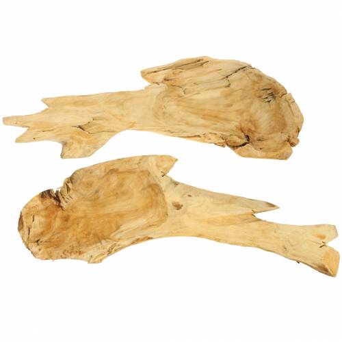 Floristik24 Bol de loupe bois 50cm x 17cm H8cm