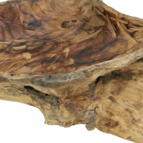Floristik24 Bol en bois de ronce flammé 70cm x 27cm H12cm