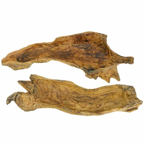 Floristik24 Bol en bois de ronce flammé 70cm x 27cm H12cm