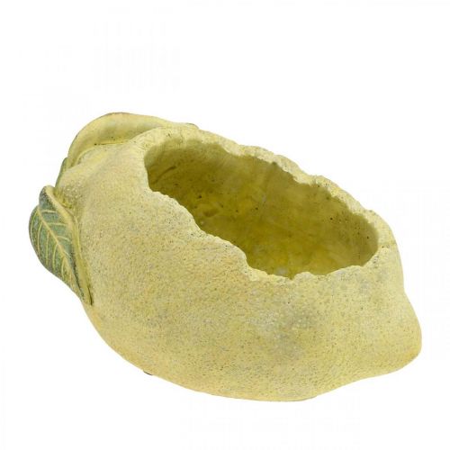 Floristik24 Bol en béton méditerranéen, citron décoratif, jardinière, jardinière L18,5cm