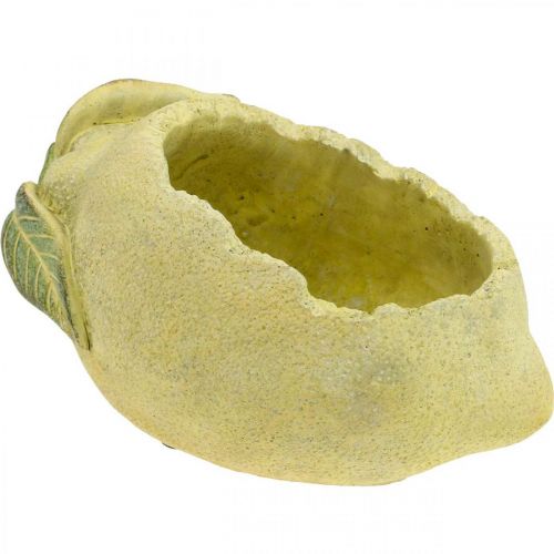 Floristik24 Bol à plantes, citron à planter, décoration béton méditerranéen L22cm