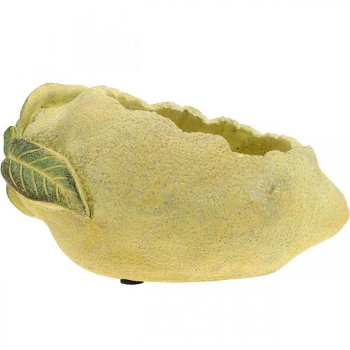 Floristik24 Bol en béton méditerranéen, citron décoratif, jardinière, jardinière L18,5cm