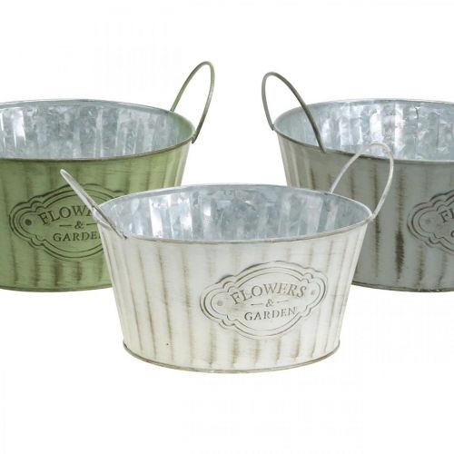 Floristik24 Coupe en métal, pot de fleur de printemps, jardinière avec anses vert, blanc, gris Ø21cm H15.5cm lot de 3