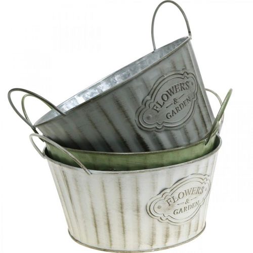 Floristik24 Coupe en métal, pot de fleur de printemps, jardinière avec anses vert, blanc, gris Ø21cm H15.5cm lot de 3
