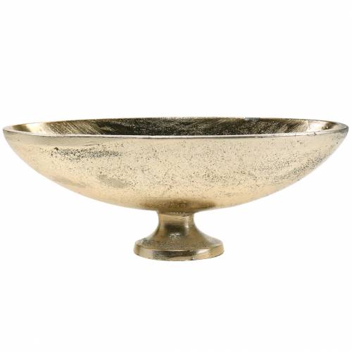 Floristik24 Bol ovale avec pied Doré 20.5×8cm
