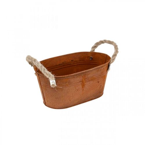 Floristik24 Bol en métal avec anses, décoration automne, jardinière patinée L22cm H11cm