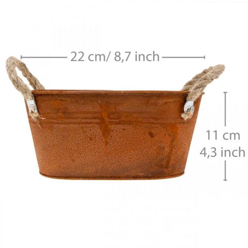 Floristik24 Bol en métal avec anses, décoration automne, jardinière patinée L22cm H11cm