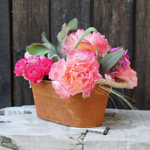Floristik24 Bol en métal avec anses, décoration automne, jardinière patinée L22cm H11cm