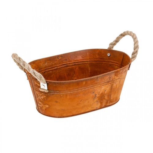 Floristik24 Cache-pot avec anses, coupe à herbes, décoration automne, patine L28cm H11cm