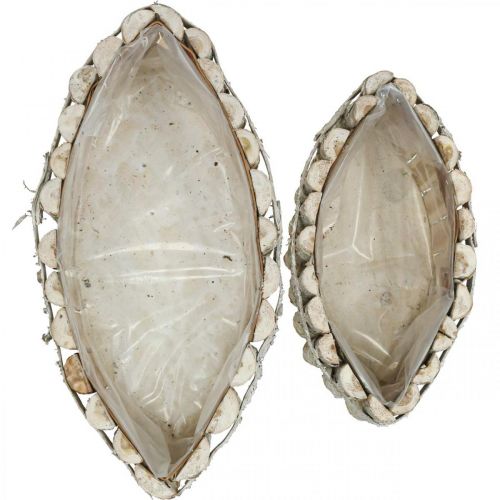 Floristik24 Coupe à plantes, bac à plantes en bois, jardinière L37.5/28cm H10/9cm lot de 2