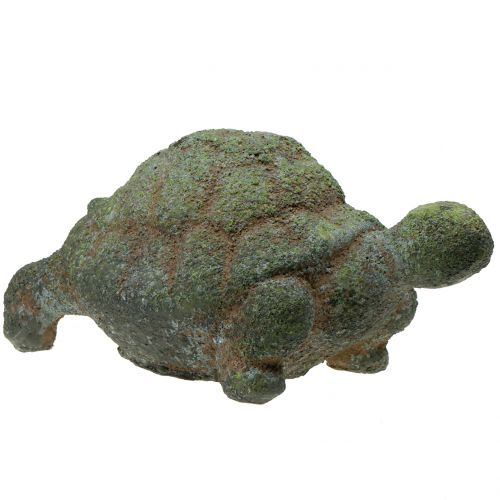 Floristik24 Tortue décorative moussue 30 x 18 cm H. 15 cm