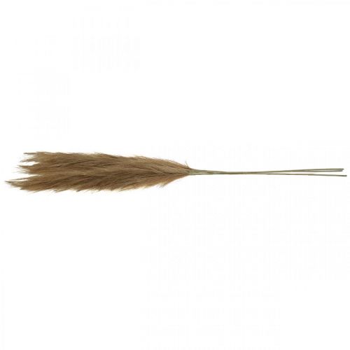 Article Plume Herbe Brun Herbe Sèche Artificielle Naturelle Reed 100cm 3pcs