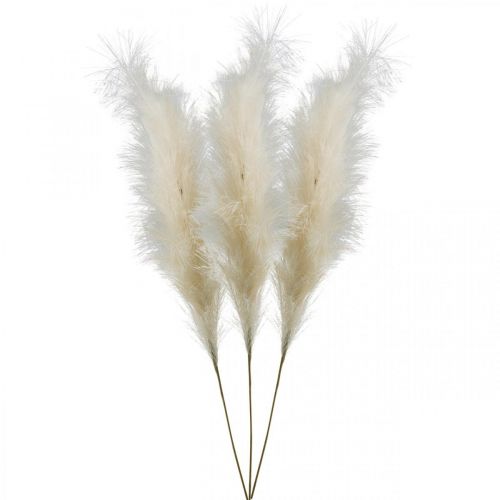 Floristik24 Plume Herbe Crème Chinois Reed Herbe Sèche Artificielle 100cm 3pcs