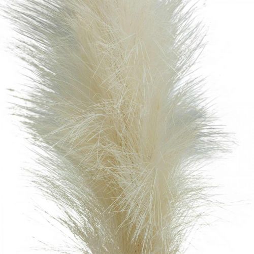 Article Plume Herbe Crème Chinois Reed Herbe Sèche Artificielle 100cm 3pcs