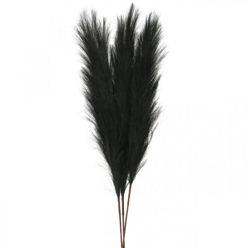 Floristik24 Plume Herbe Noir Chinois Reed Herbe Sèche Artificielle 100cm 3pcs