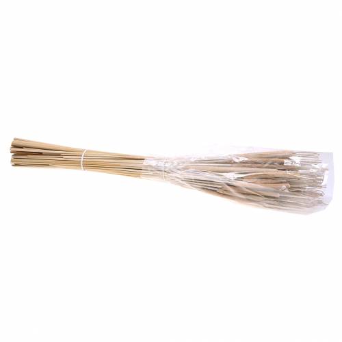 Article Epis de roseau Déco naturelle Blanchies Tailles diverses 100pcs