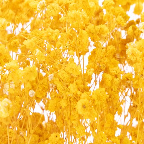 Article Bouquet de fleurs séchées avec gypsophile. Branches fleuries décoratives idéales pour la décoration de table saisonnière. 70 cm