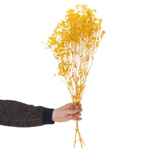 Article Bouquet de fleurs séchées avec gypsophile. Branches fleuries décoratives idéales pour la décoration de table saisonnière. 70 cm