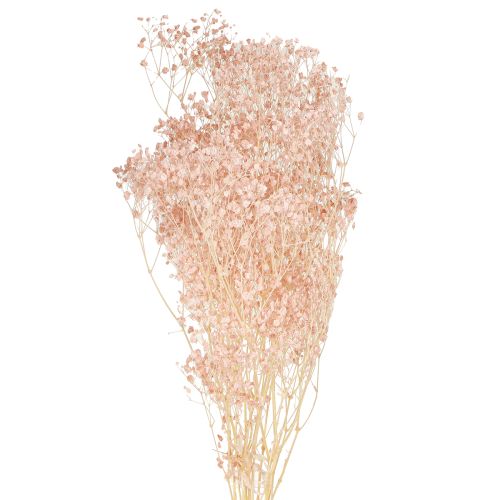 Floristik24 Décoration Gypsophile Herbes Séchées Orange Pêche 65-70cm 100g