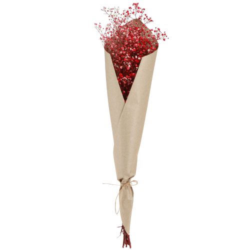 Article Gypsophile Gypsophile Fleurs Séchées Rouge 50cm 55g