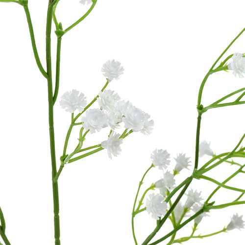 Floristik24 Gypsophile paniculée blanche 52 cm 6 p.