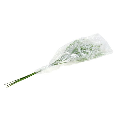 Floristik24 Gypsophile paniculée blanche 52 cm 6 p.
