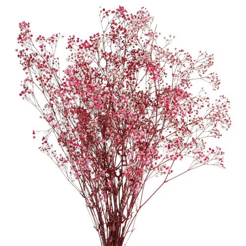 Article Herbe de gypse paniculée Gypsophile en baie L50cm 55g