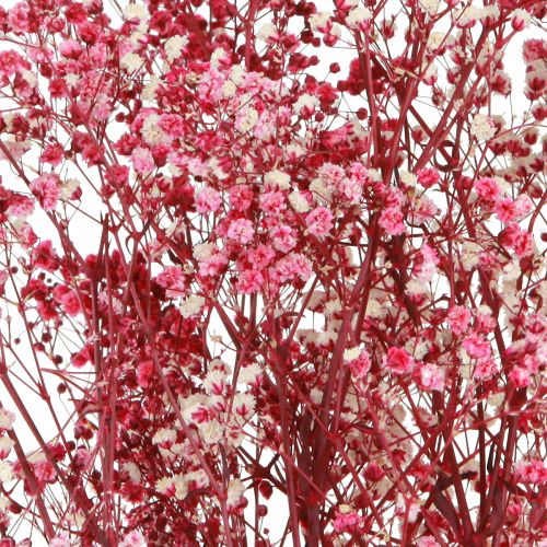 Article Herbe de gypse paniculée Gypsophile en baie L50cm 55g