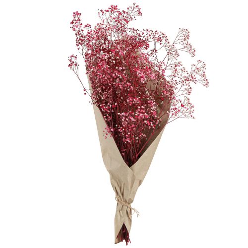 Article Herbe de gypse paniculée Gypsophile en baie L50cm 55g