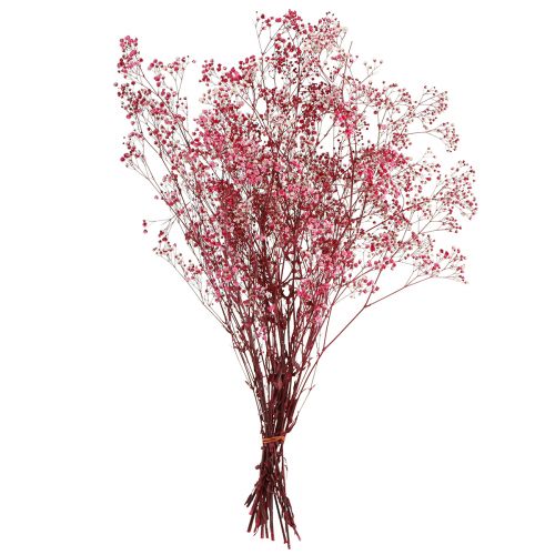 Article Herbe de gypse paniculée Gypsophile en baie L50cm 55g