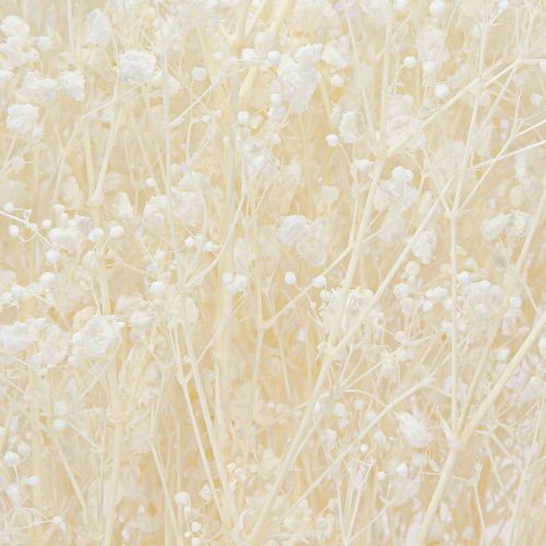 Article Gypsophile Blanc Herbes Séchées Décoration Crème 65-70cm 100g