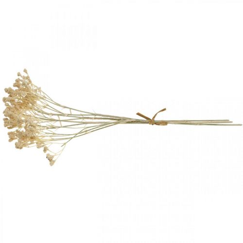 Article Gypsophile artificielle crème gypsophile 46cm bouquet de 3 pièces