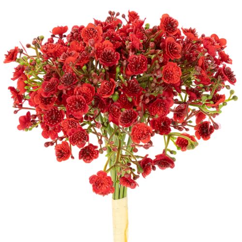Gypsophile artificielle rouge, bouquet décoratif, 30 cm, lot de 10
