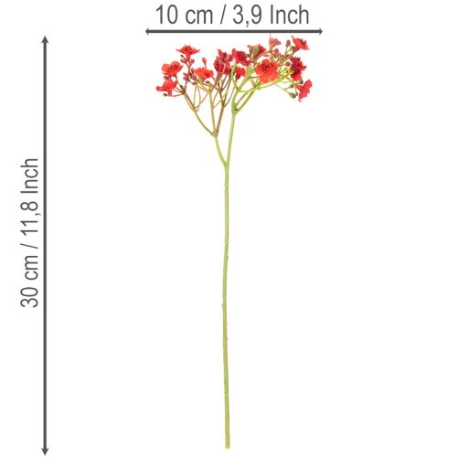 Gypsophile artificielle rouge, bouquet décoratif, 30 cm, lot de 10 | Floristik24.be