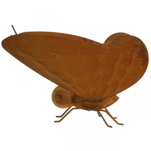 Floristik24 Figurine de jardin, papillon à poser, patine décoration métal L20cm L21cm