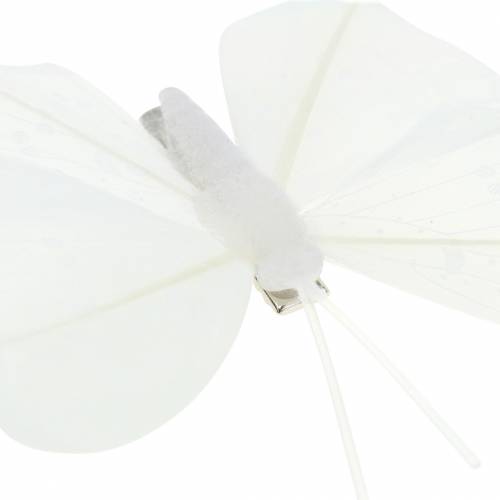 Floristik24 Plume papillon sur pince blanc 7-8cm 8 pcs