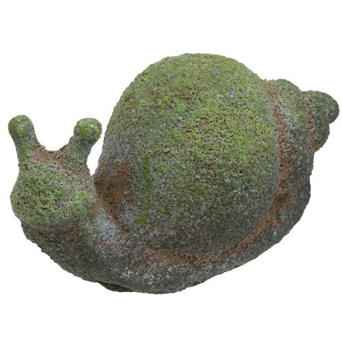 Floristik24 Figurine de jardin escargot moussu 31cm x 17cm H17cm