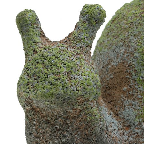 Floristik24 Figurine de jardin escargot moussu 31cm x 17cm H17cm