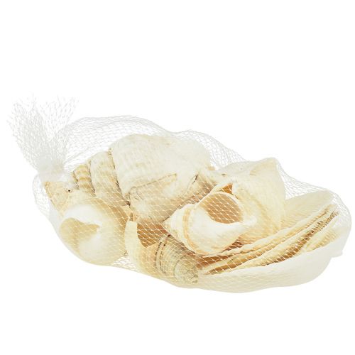 Article Décoration Coquille d'Escargot Décoration de Table Maritime Blanc Naturel 350g