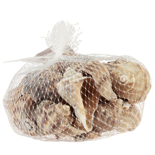 Article Décoration coquille d&#39;escargot escargots de mer crème brune 4-6cm 300g