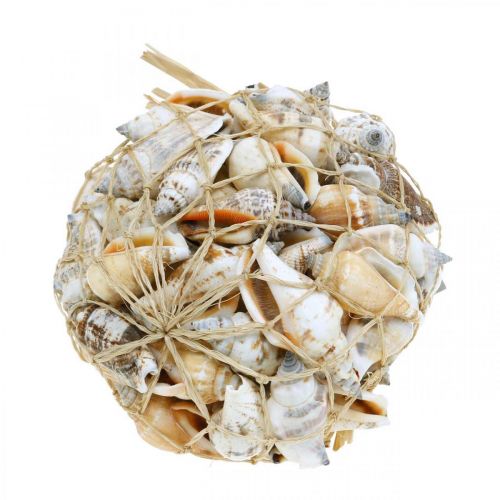 Article Déco coquilles d&#39;escargots vides en filet libérien escargots de mer 400g