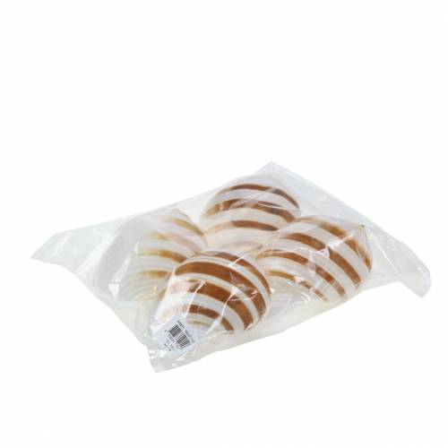 Floristik24 Escargot de mer escargot naturel 10-12cm 4 pcs