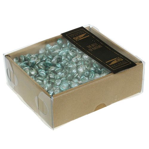 Floristik24 Coquille d&#39;escargot bleu-vert 500g