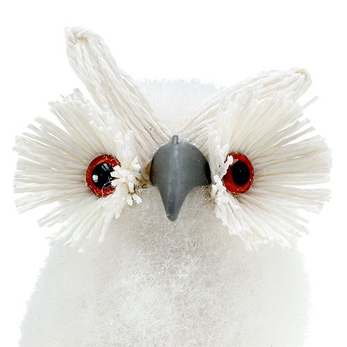 Floristik24 Harfang des neiges blanc 18cm
