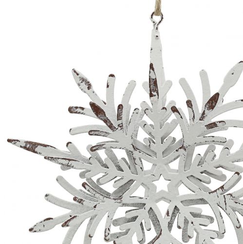 Floristik24 Flocon de neige effet 3D blanc 16cm x 15.5cm 2pcs