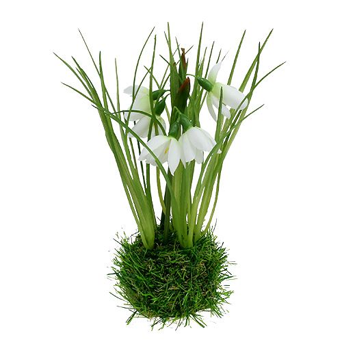Floristik24 Perce-neige avec boule d'herbe 24cm