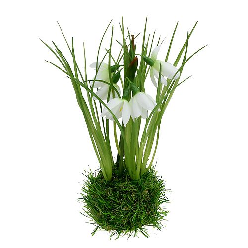 Floristik24 Perce-neige avec boule d&#39;herbe 24cm